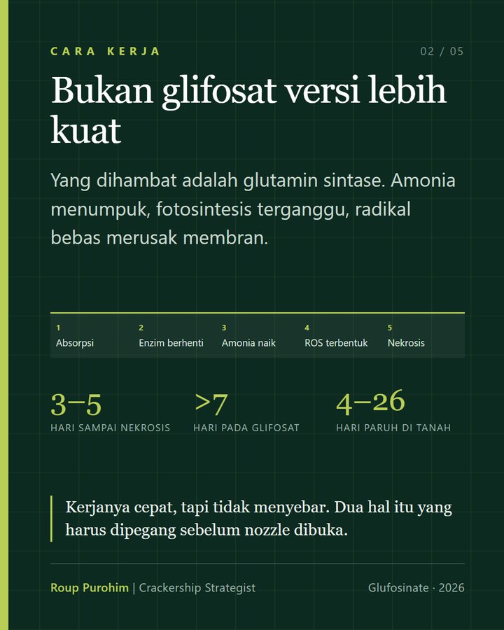 Cara kerja glufosinate: bukan glifosat versi lebih kuat